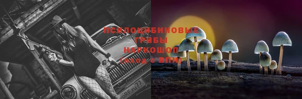винт Аркадак