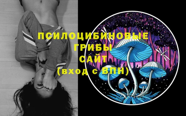 прущий лед Армянск